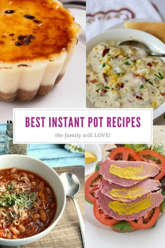 13 Easy Instant Pot Recipes You Need To Feed Your Family! 