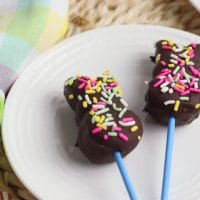 Chocolate Covered Bunny Pops