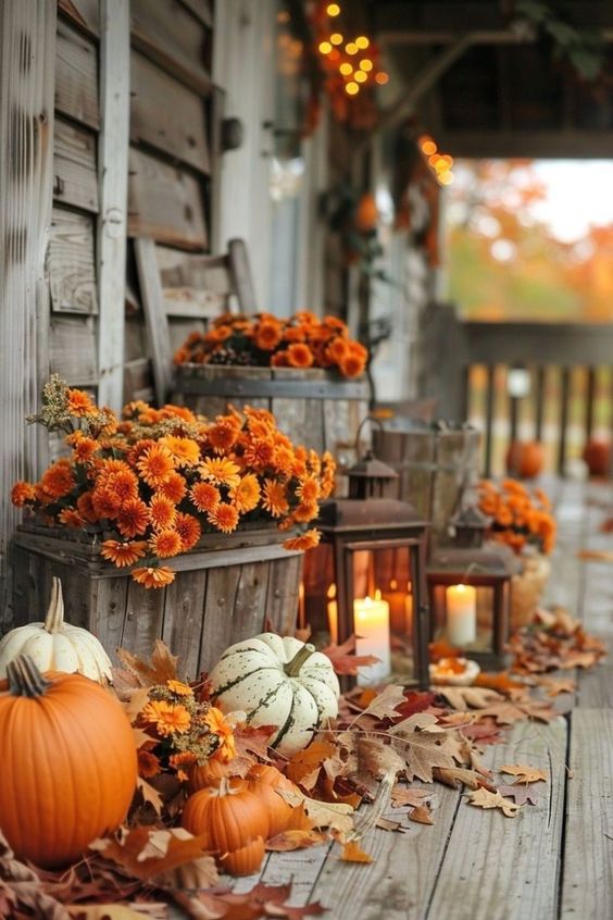 This porch is overflowing with autumn charm! The rustic wooden crates are brimming with vibrant orange mums, while the scattered pumpkins and gourds bring a pop of seasonal color to the space. The warm glow of candlelight from the lanterns adds a cozy and inviting ambiance, making it the perfect spot to enjoy a fall evening. Fallen leaves are artfully spread across the weathered boards, enhancing the natural beauty of the season. This setup is a picture-perfect example of how to embrace the beauty of fall right at your doorstep!