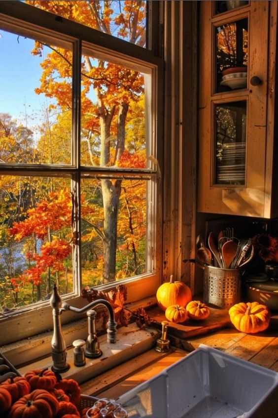 This kitchen window scene is pure autumn bliss! The golden glow of the late afternoon sun streams through the window, highlighting the vibrant orange and red leaves of the trees outside. Inside, the countertop is dotted with small pumpkins, bringing the warm colors of fall right into the heart of the home. The simple, rustic touches, like the wooden cutting board and the old-fashioned faucet, complement the natural beauty outside, creating a space where you can truly savor the season. Imagine washing dishes here with that breathtaking view—it’s fall perfection!