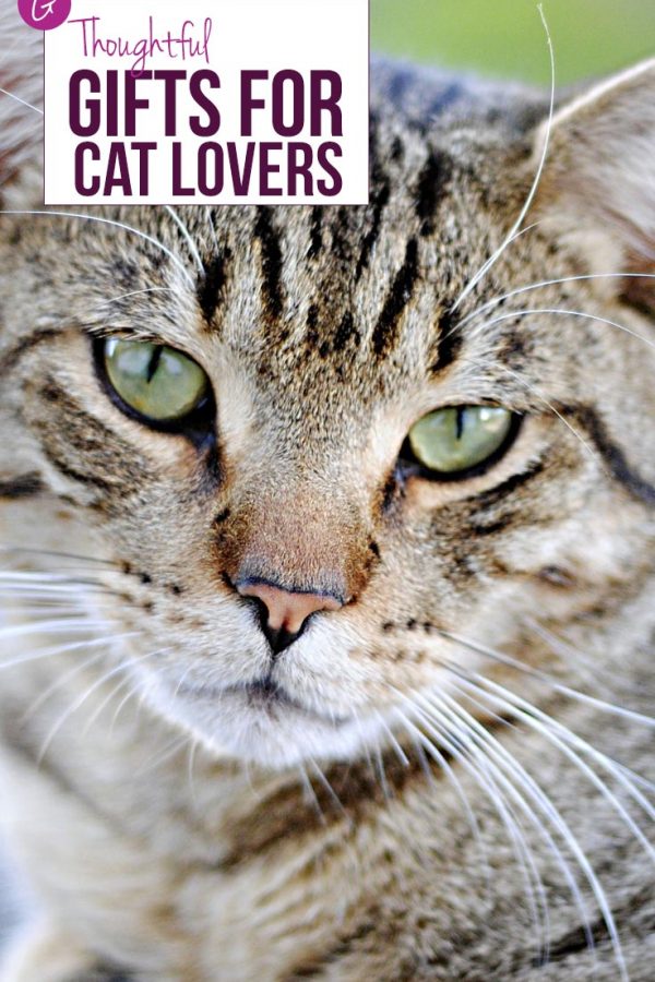So many great cat gift ideas here for my friends who love their cats more than humans!