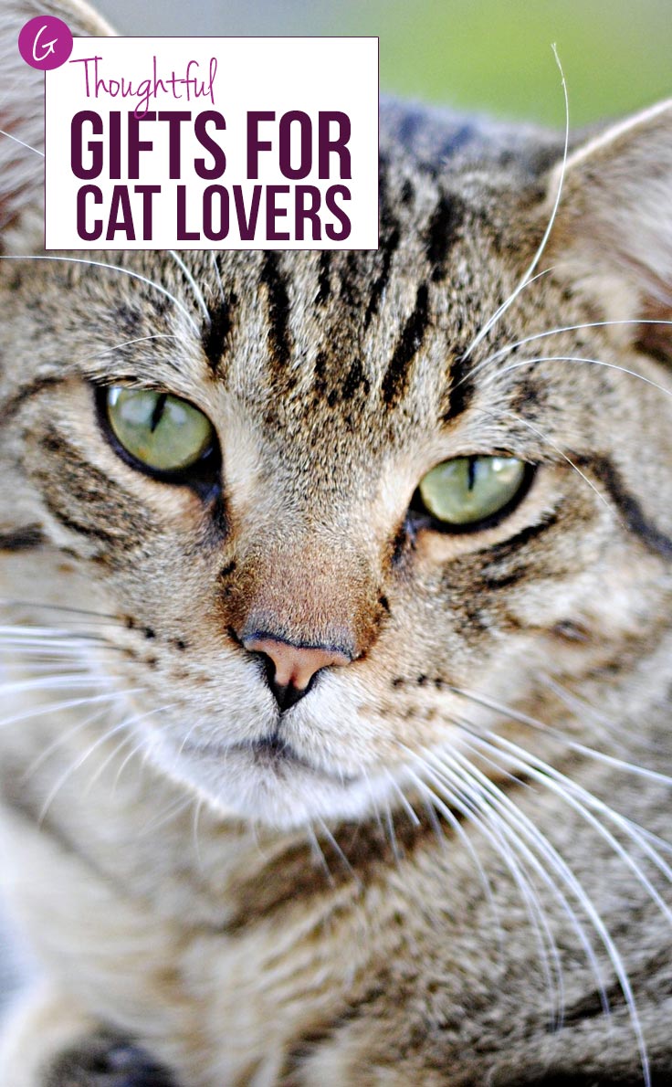 Gifts For Cat Lovers 12 Cat Gift Ideas For The Crazy Cat Lady In Your Gifts For Cat Lovers 12 Cat Gift Ideas For The Crazy Cat Lady In Your