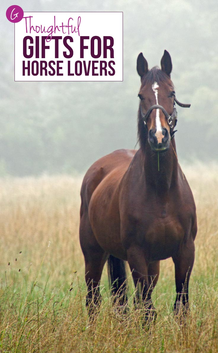 FABULOUS Gifts for Horse Lovers of All Ages