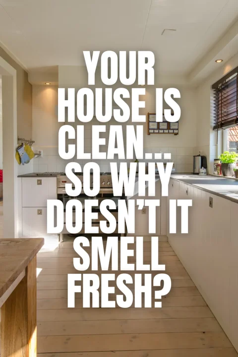 Your house looks clean but doesn’t smell quite right? These simple, low-effort ideas help keep your home smelling fresh and inviting once the cleaning is done.