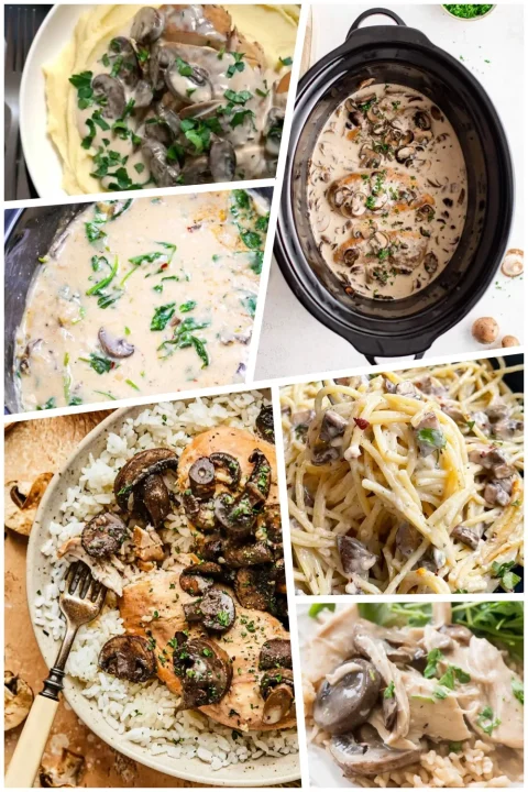 These mushroom crockpot recipes are everything you want for busy days — cozy, creamy, and full of savory flavor. From chicken and rice to pasta and risotto, these slow cooker meals make dinnertime easy. 🍄✨ #SlowCookerMeals #MushroomRecipes #EasyDinners #CrockpotCooking
