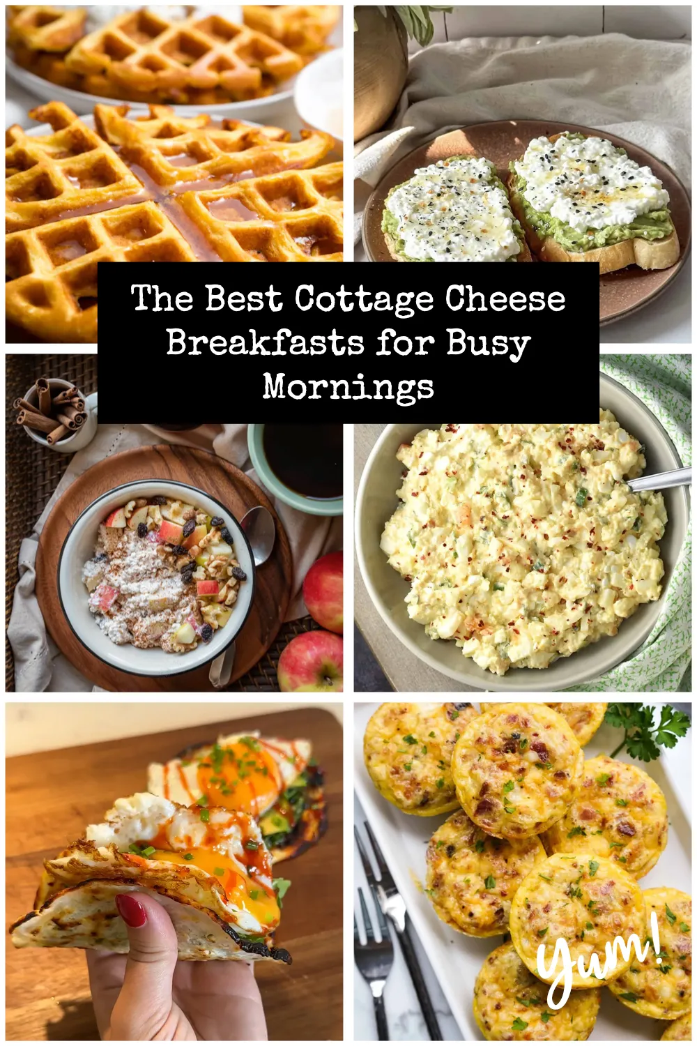 Looking for healthy breakfast ideas? These cottage cheese recipes are quick, filling, and totally crave-worthy.#HealthyMorning #BreakfastGoals #EasyFood #ProteinRich