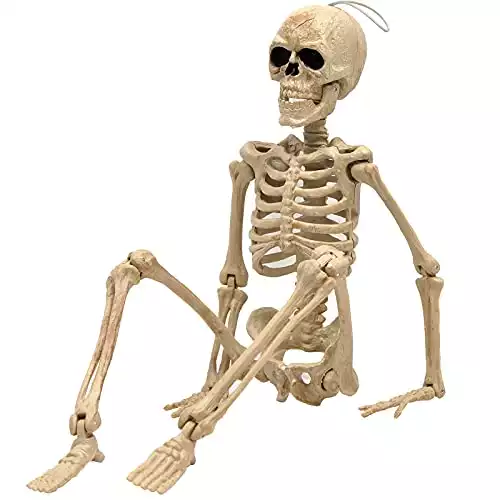 16" Halloween Skeleton