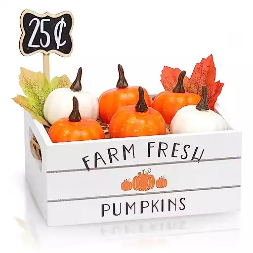 Fall Pumpkin Mini Wood Crate Decorations Set