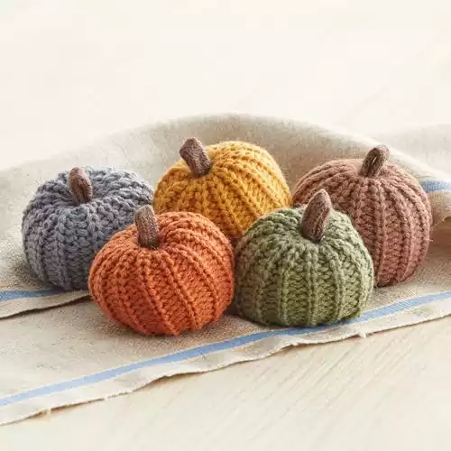 Mini pumpkins set of 5