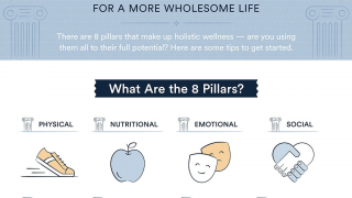 Harness The 8 Pillars Of Wellness And Become A Healthier You