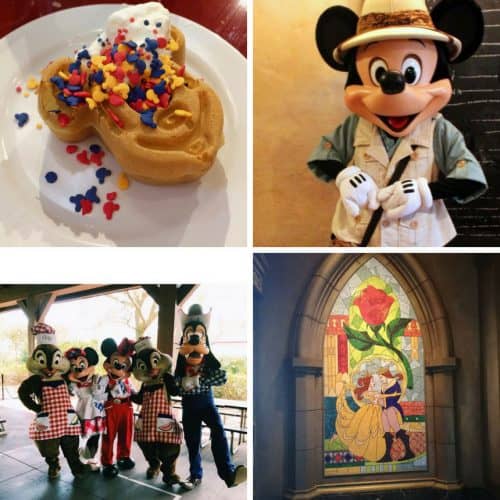 62+ Disney Dining Tips You'll Regret Not Knowing About