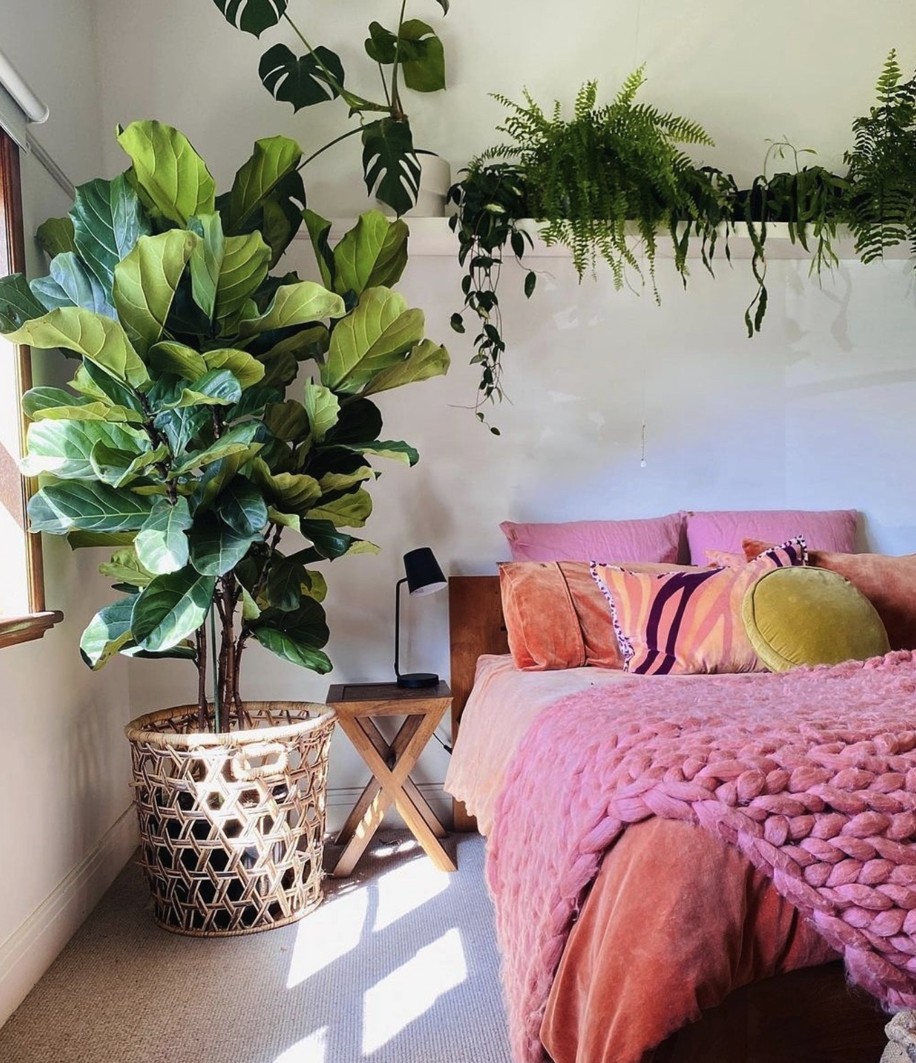 Plants and flowers breathe life into a space and make it feel fresh and inviting. Even a small plant on your nightstand or dresser can brighten up the room and improve air quality.