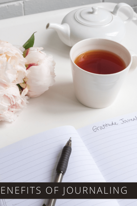 There are so many benefits of journaling from improving your mental health to helping you smash your goals. Find out more about why you should take time to journal daily and some ideas to get you started.