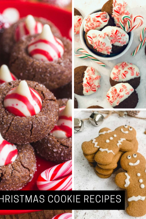 Best Christmas Cookie Recipes