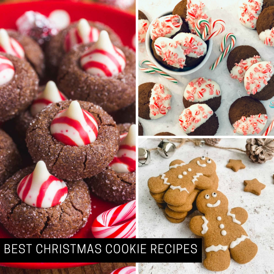 50 Festive Christmas Cookie Recipes Santa (and your family) will Go Crazy Over!