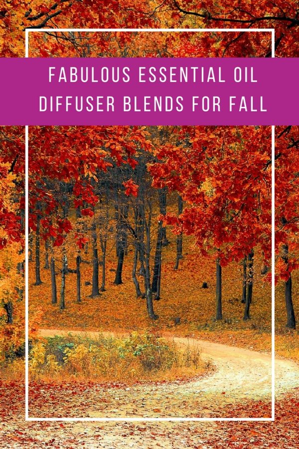 These essential oil diffuser blends for Fall smell AMAZING - thanks for sharing!