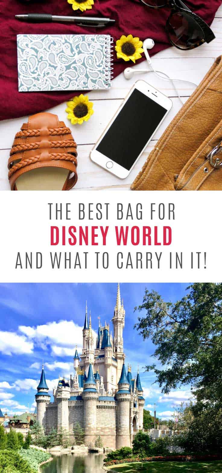 The Smart Mom's List of What to Bring to Disney World Parks