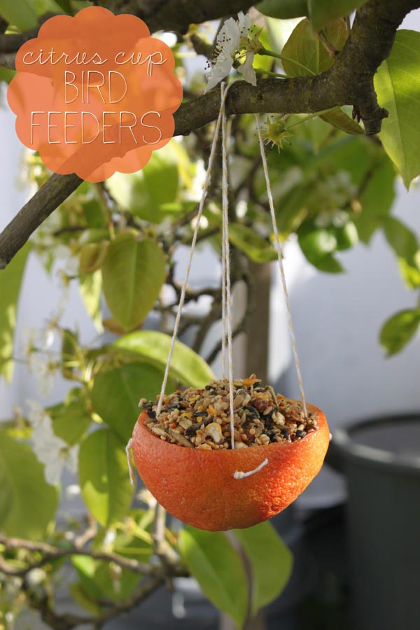 Citrus Cup Bird Feeders