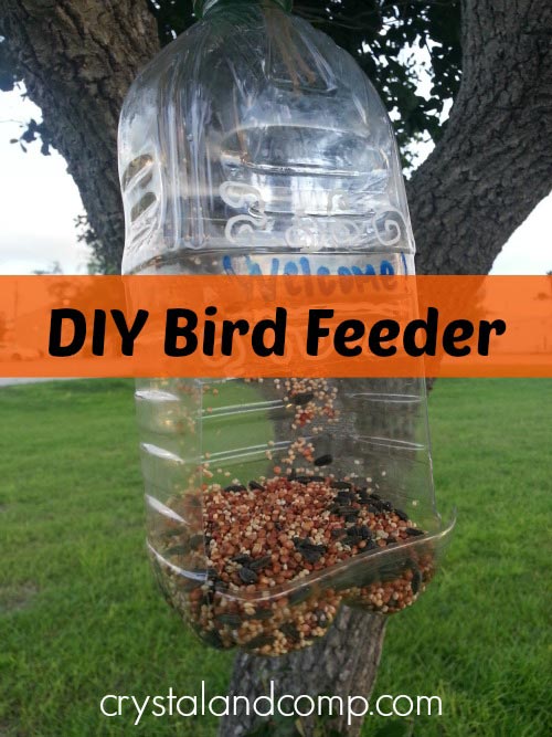 How to Make a Bird Feeder