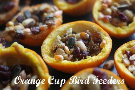 Homemade Orange Cup Bird Feeders