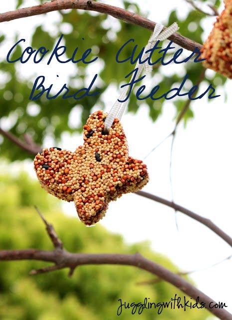 Cookie Cutter Bird Feeder