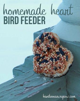 Homemade Heart Shaped Bird Feeder