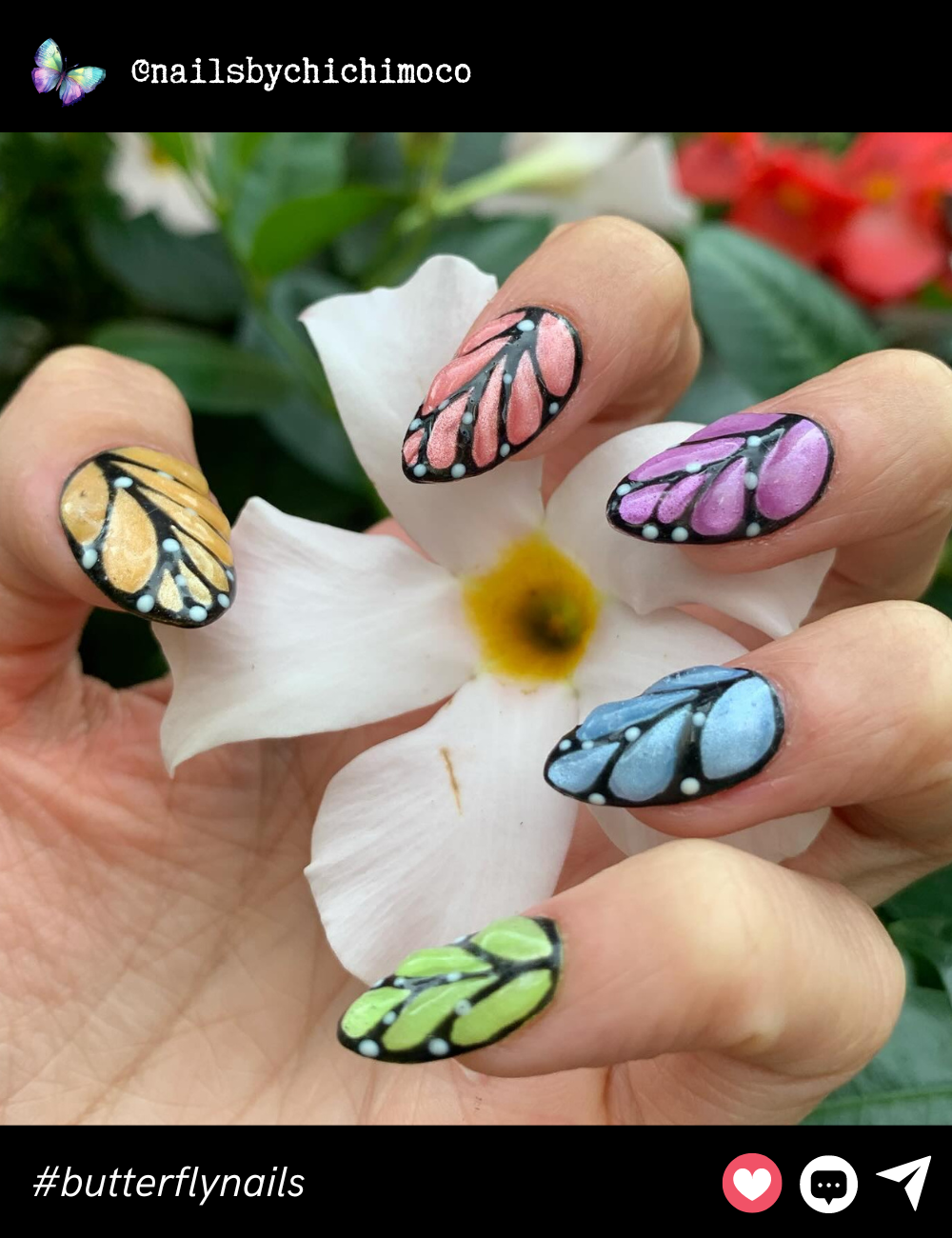 Colorful butterfly wings in pastel hues cover each nail, creating a vibrant and cheerful look that is perfect for summer.