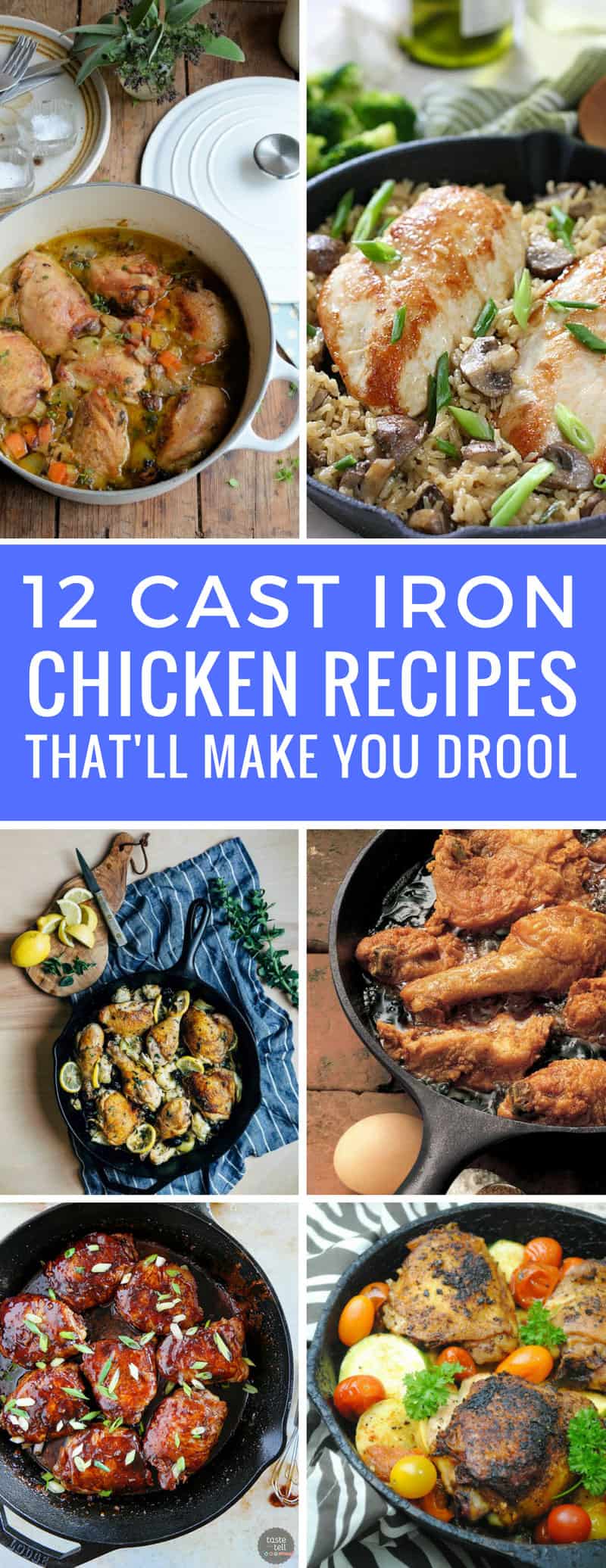 Yum - can't wait to get the skillet out and try these cast iron chicken recipes! Thanks for sharing!
