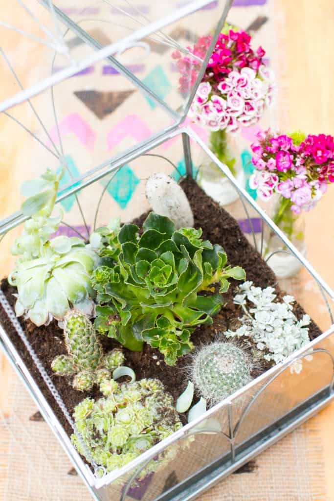 Unique Terrarium Ideas | Succulents | DIY | Glass Planters | Unique Wedding Favors