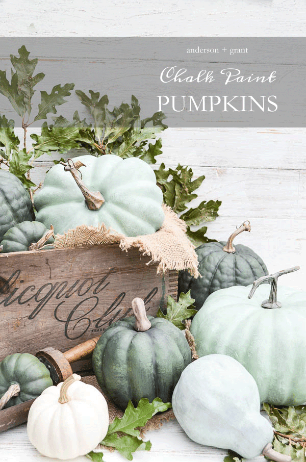 Chalk Paint No Carve Pumpkins