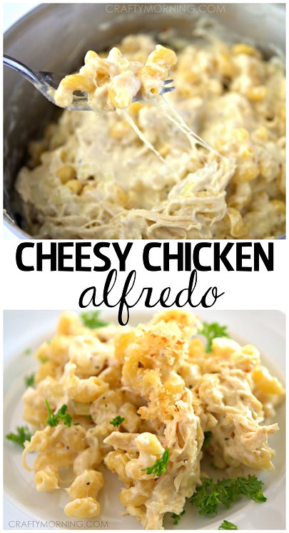 Cheesy Chicken Alfredo Recipe