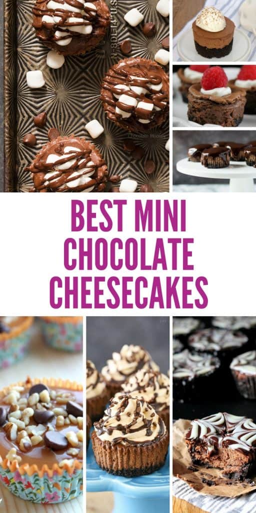 The 12 Most Amazing Mini Chocolate Cheesecakes of All Time!