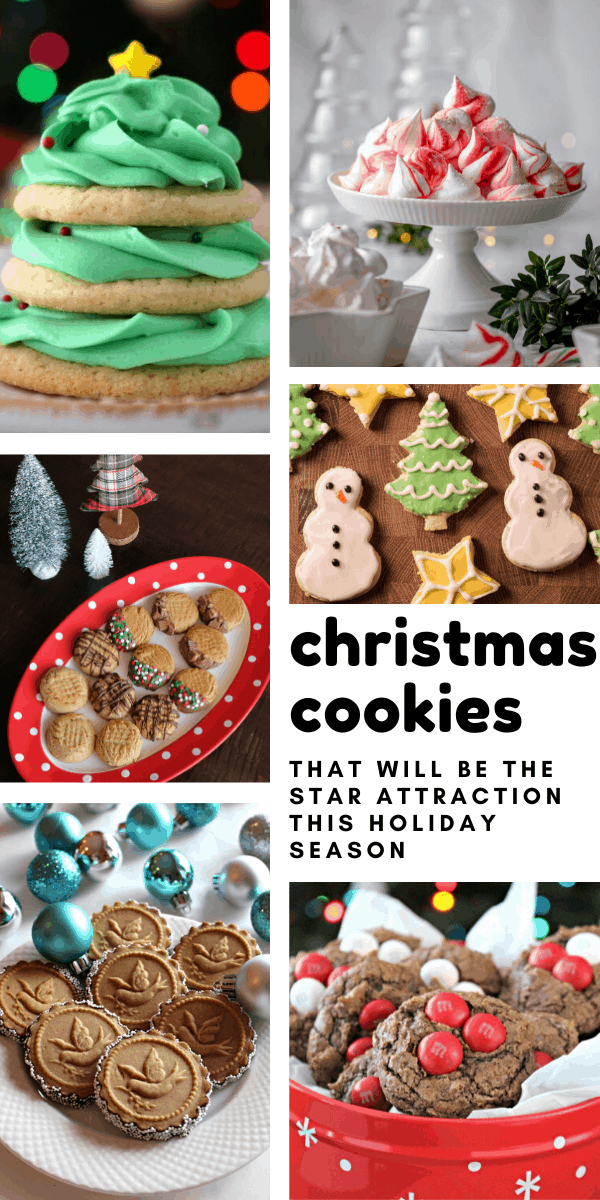 30 Festive Christmas Cookie Recipes Santa (and your family) will Go Crazy Over!