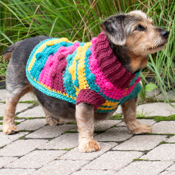 Dog Sweater Crochet Patterns