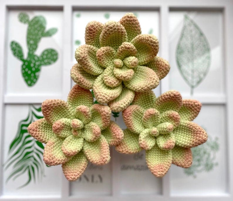 These Sweet Crochet Succulents Will Make a Wonderful Gift for Mom