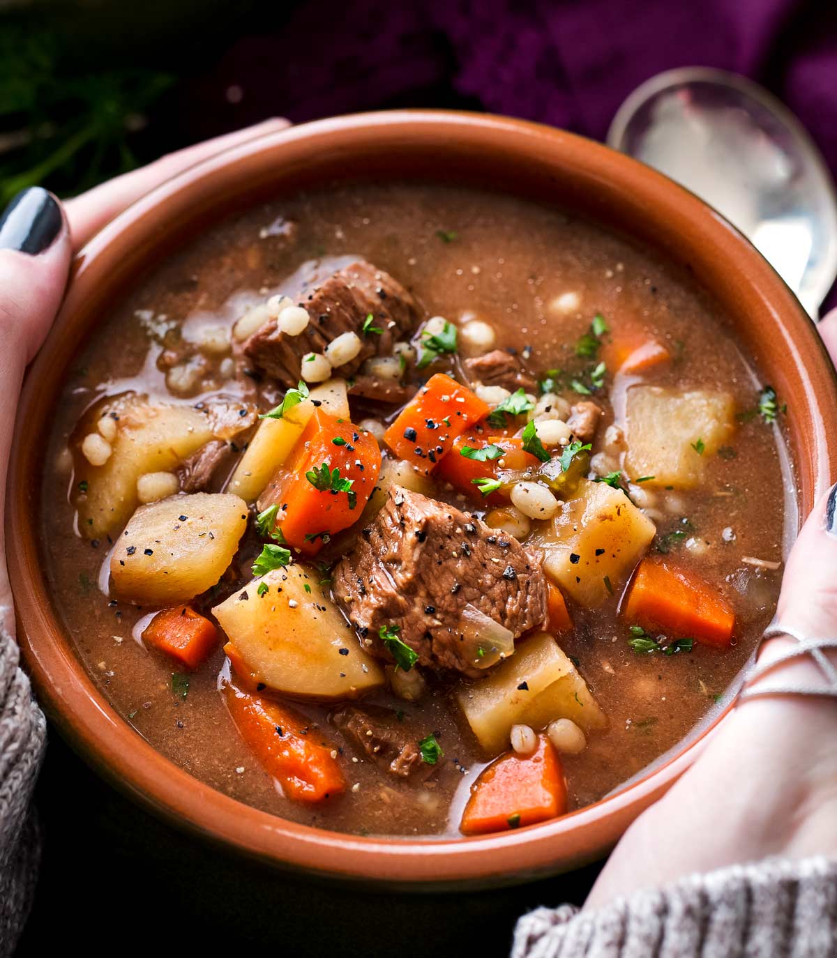 Hearty Beef and Barley Soup: A slow-cooker staple that’s packed with tender beef, nutty barley, and a medley of vegetables. It’s the definition of comfort in a bowl.