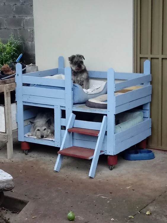 Looking to create a unique, budget-friendly retreat for your dog? 🐕 Our DIY guide shows you how to craft durable and charming dog houses and beds from pallets. Perfect for beginners and woodworking pros alike, these projects add style and comfort to any outdoor space. 🌿 Watch our step-by-step videos and get inspired by various creative designs to build the ultimate sanctuary for your beloved pet! 🛠️ #DIYDogHaven #PalletCrafts #PetParadise