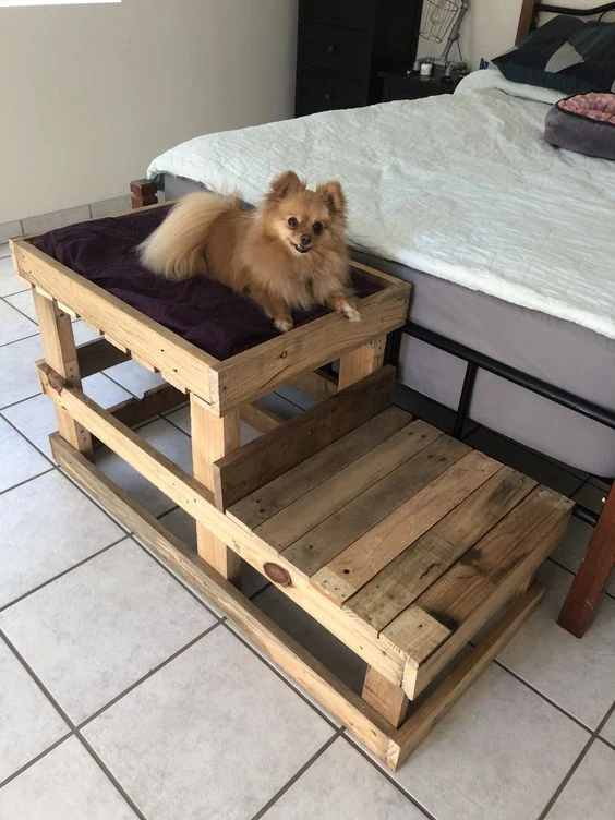 DIY Dog Houses and Beds Crafting Cozy Homes from Pallets