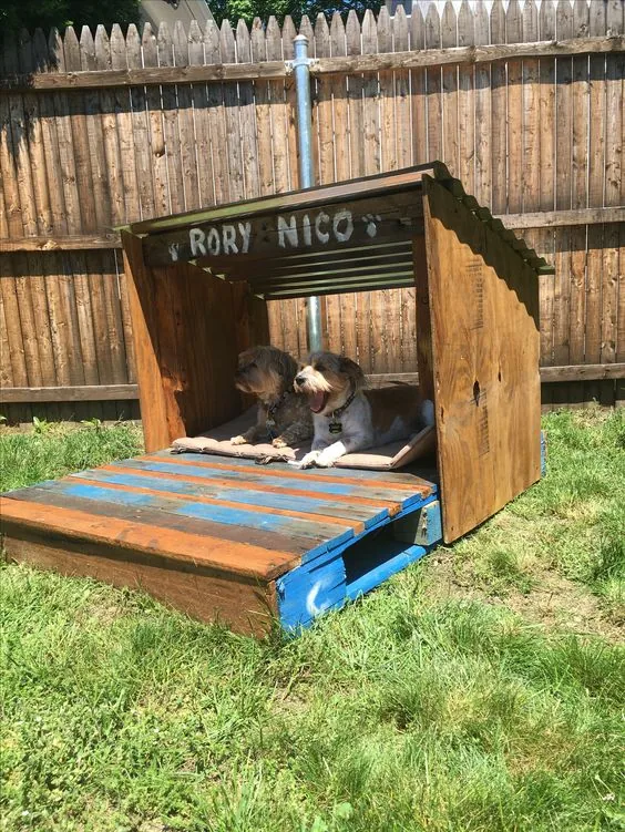 Build a one-of-a-kind haven for your furry friend with our DIY pallet dog houses and beds! 🐶✨ This guide offers step-by-step instructions and a collection of video tutorials to help you craft stylish and secure pet homes. Whether you're new to woodworking or a seasoned pro, find innovative solutions that fit your pet's needs and elevate your outdoor space. Explore these charming designs and create a perfect retreat for your pup today! 🌟 #DogHouseDIY #PalletProjects #FurryFriendHome