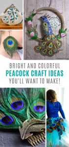 Colour up your life with these DIY peacock crafts!