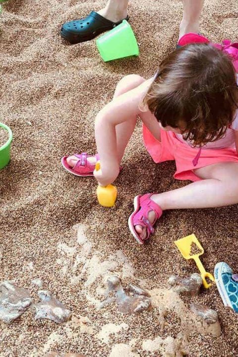 And the aim of the game is to dig and dig until you find dinosaur bones!