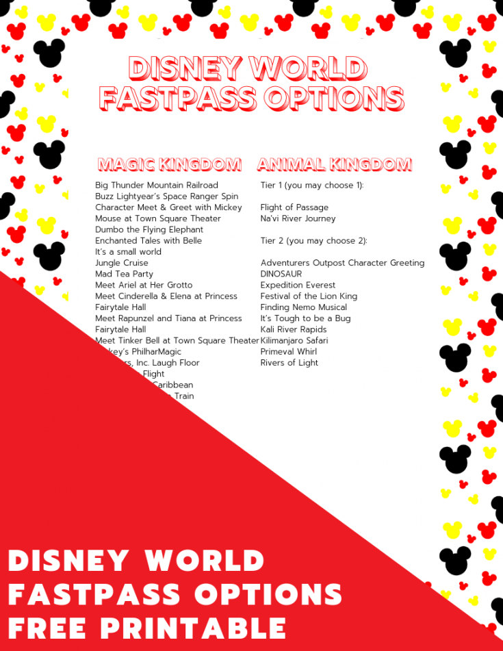 copy fast pass disney