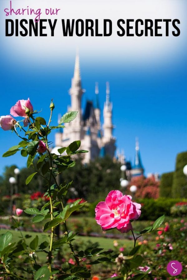 Disney World Secrets - These tips for Disney World will help you save time, money, memories and more on your vacation! MUST READ GUIDE!