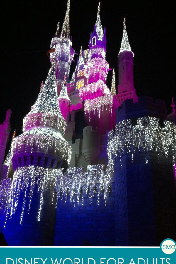 This is just what I need to convince my hubby that we can still go to Disney World even without kids!