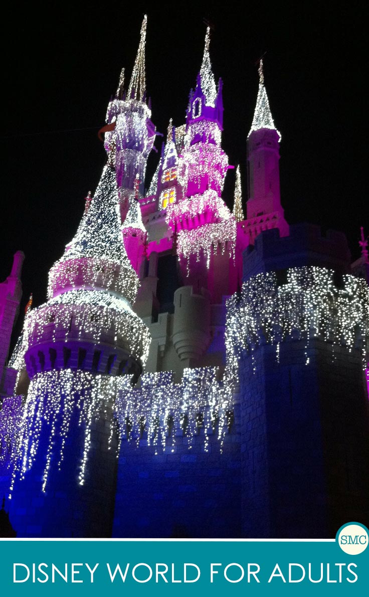 This is just what I need to convince my hubby that we can still go to Disney World even without kids!