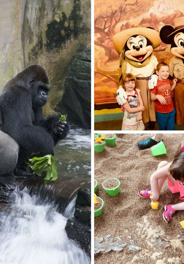 Disneys Animal Kingdom for Preschoolers