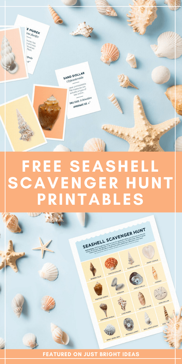 Whether you're heading to the beach or looking for a fun activity to do at home these free seashell scavenger hunt and flash card printables are fun for all ages. 