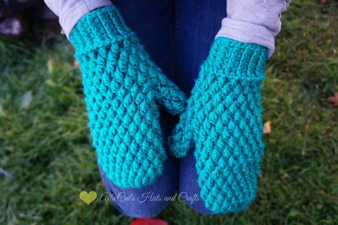 Frozen Beaches Mittens Free Pattern