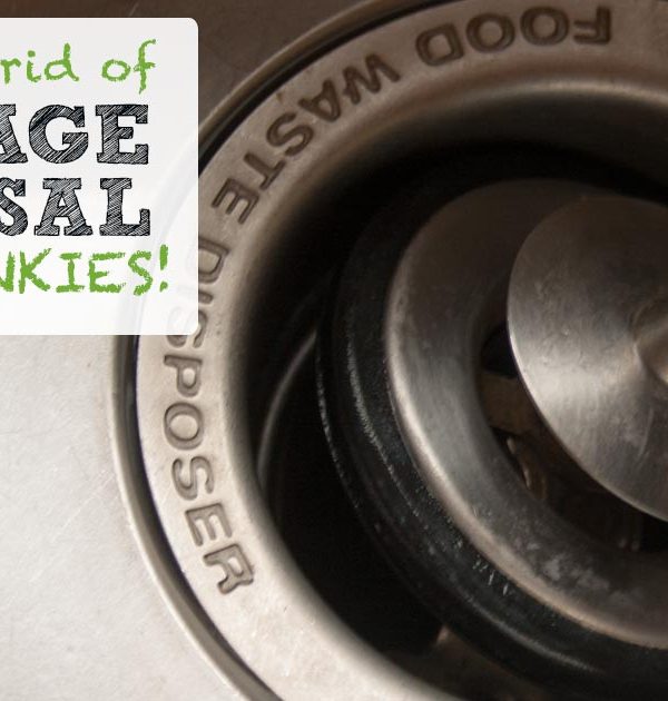 How to get rid of those garbage disposal unit stinkies!