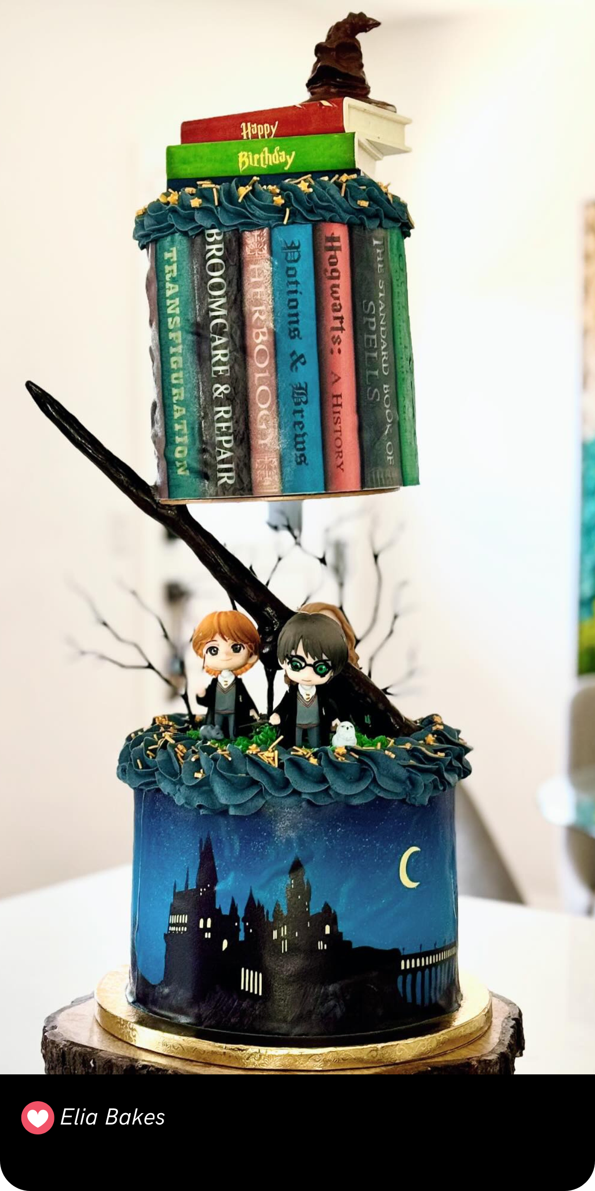 This gravity-defying Harry Potter cake is a true showstopper! The bottom tier is a beautifully painted night scene of Hogwarts under a crescent moon, while the top features a stack of spellbooks seemingly floating above the base. The intricate details include mini figures of Harry, Ron, and Hermione, along with the Sorting Hat perched atop the books. The tree branch supporting the books adds a mystical touch, making this cake an incredible tribute to the magic and wonder of the wizarding world!